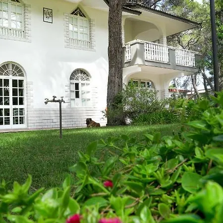 Casa vacanze Lamaisonblanche *